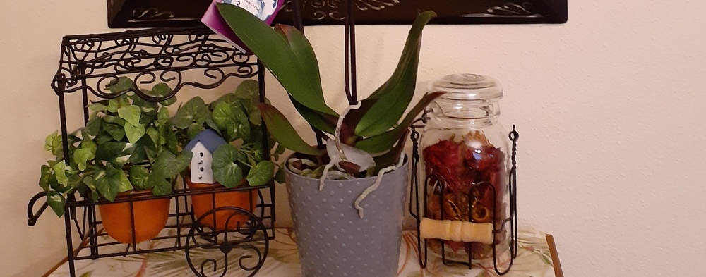Meet your Posher, Diane